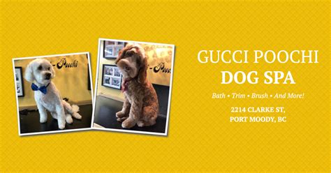 poochi gucci|gucci poochie grooming.